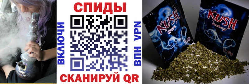Купить закладки  Павловск  Бутират бутик 