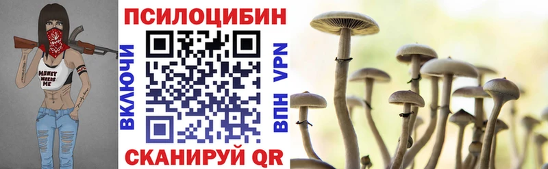 Купить где  Павловск  Псилоцибиновые грибы MAGIC MUSHROOMS 